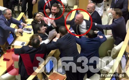 Gürcüstan parlamentinin sonuncu iclasında deputatlar dalaşıb-VİDEO
