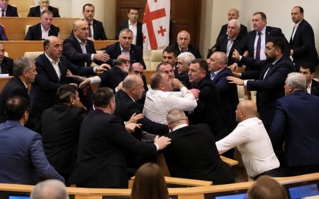 Gürcüstan parlamentinin sonuncu iclasında deputatlar dalaşıb-VİDEO