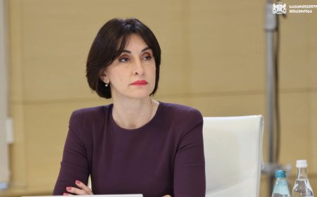 Gürcüstanın strateji seçimi Avropa İttifaqına inteqrasiyadır