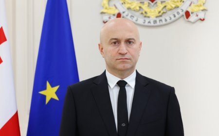 Tamazaşvilinin ilk rəsmi səfəri Ermənistana oldu