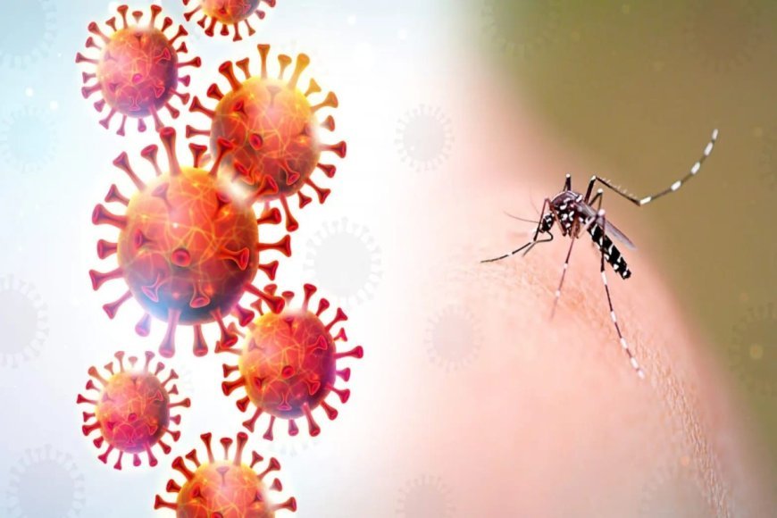 Gürcüstanda təhlükəli virus aşkarlanıb