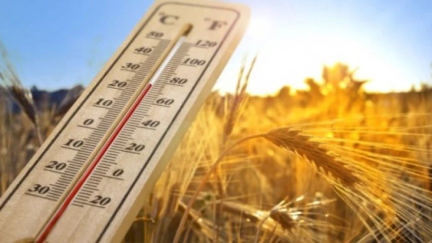Gürcüstanda biraylıq HAVA PROQNOZU