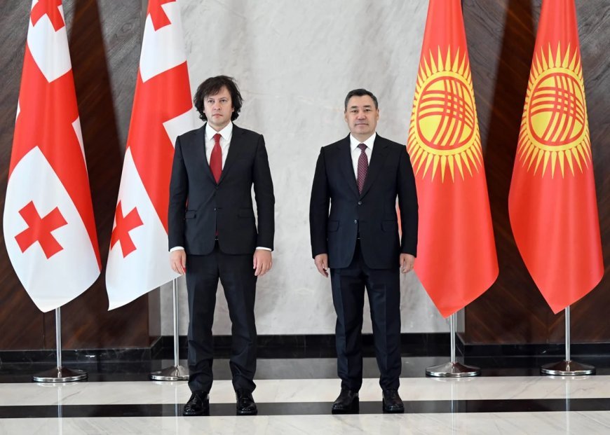 Sadır Japarov və İrakli Kobaxidze birbaşa aviareyslərın açılmasını müzakirə ediblər