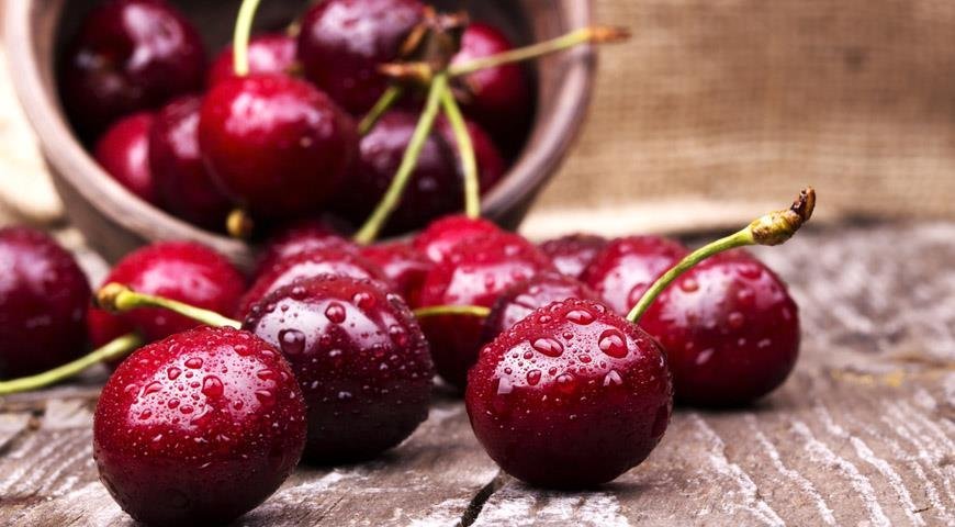 Gilas hansı xəstəliklərdən qoruyur?