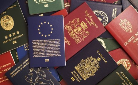 Dünyanın ən güclü 10 pasportu