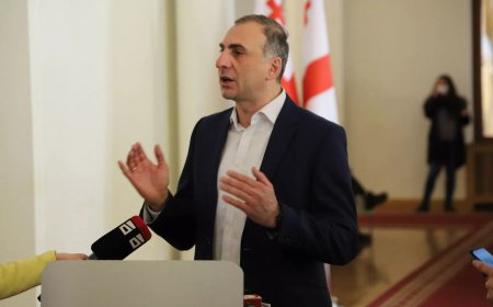 Aleko Elisaşviliyə 13 il həbs cəzası verilib
