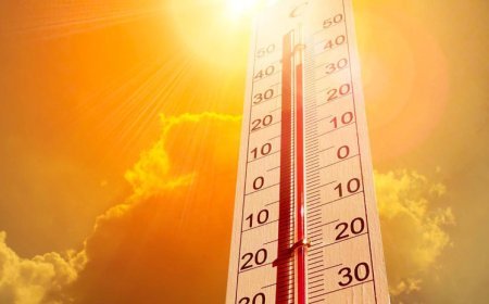 Sinoptiklər temperaturun +38 dərəcəyə yüksələcəyini xəbərdar edir