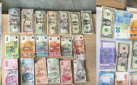 22 qanunsuz valyutadəyişmə məntəqəsi bağlandı