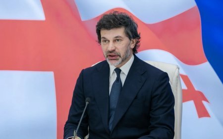 Avropanın bizə münasibəti siyasi terrorizmdir