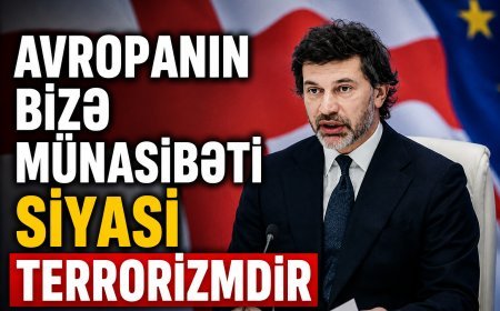 Avropanın bizə münasibəti siyasi terrorizmdir