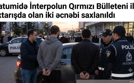 Batumidə İnterpolun Qırmızı Bülleteni ilə axtarışda olan iki əcnəbi saxlanıldı