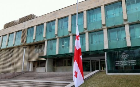 Gürcüstanda qanunsuz silah satışı ilə məşğul olan 3 xarici vətəndaş saxlanılıb