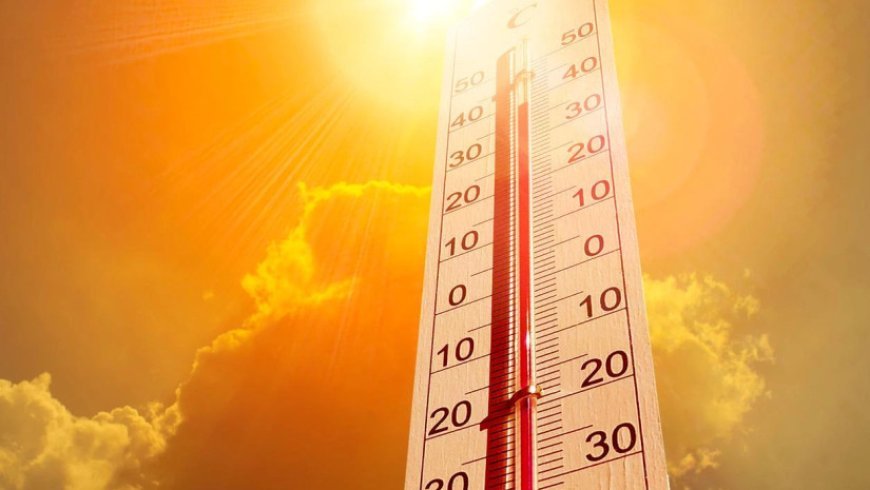 Sinoptiklər temperaturun +38 dərəcəyə yüksələcəyini xəbərdar edir