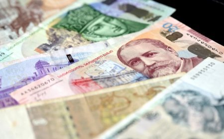 Gürcüstanda 2,1 milyon larilik çirkli pulları yuyan dəstə saxlanıldı