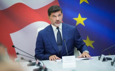 Gürcüstan və Ukraynanı NATO-ya üzvlük vədləri ilə aldadıblar