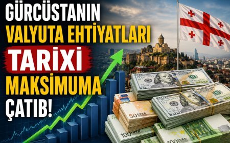 Gürcüstanın valyuta ehtiyatları tarixi maksimuma çatıb