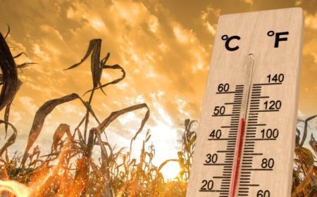 Gürcüstanda yaxın günlərdə hava isti və günəşli keçəcək