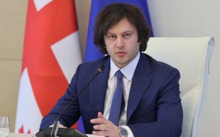 Kobaxidzedən Əliyevin Naxçıvanda verdiyi mesajlara reaksiya
