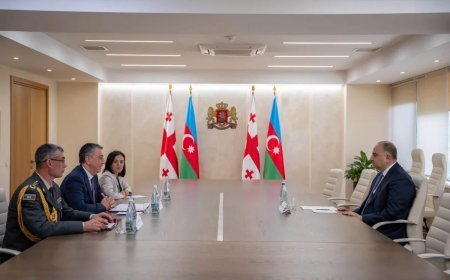 Gürcüstan və Azərbaycan arasında strateji tərəfdaşlıq müzakirə olunub