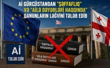Aİ Gürcüstandan "Şəffaflıq" və "Ailə Dəyərləri haqqında" qanunların ləğvini tələb edib