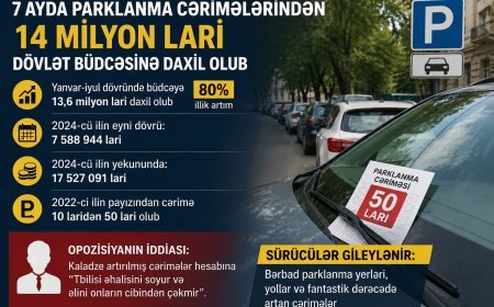 Tbilisidə parklanma cərimələrindən büdcəyə rekord 14 milyon lari daxil oldu