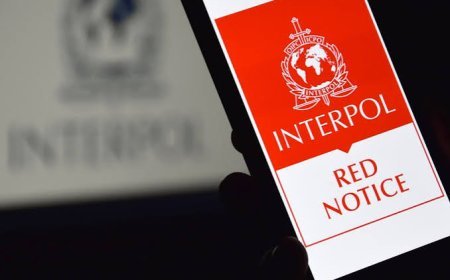 Batumda İnterpol tərəfindən qırmızı bülletenlə axtarılan Türkiyə vətəndaşı saxlanıldı