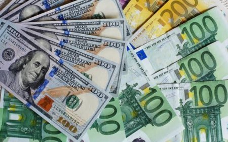25 avgust xarici valyutaların məzənnələri