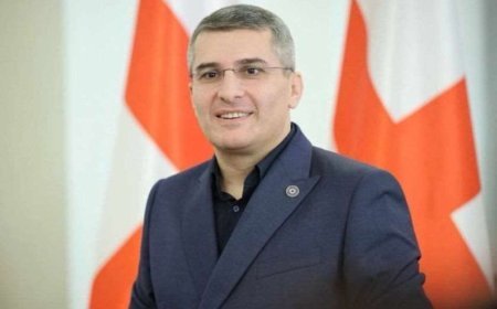Mamuka Mdinaradze vəzifəsini və siyasəti tərk etdiyini açıqladı