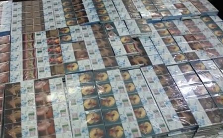 Qırmızı Körpüdə böyük əməliyyat: 1 milyon larilik aksizsiz siqaret tutuldu