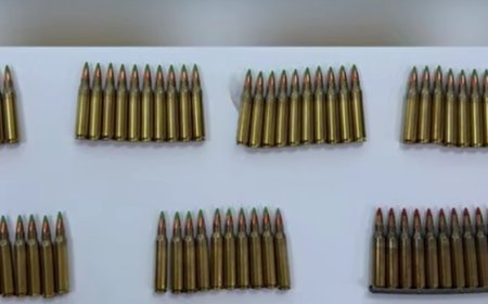 Gürcüstanın dörd regionunda xüsusi əməliyyat: Silah-sursatla 5 şəxs saxlanıldı