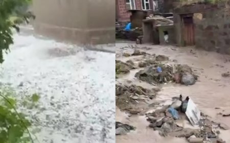 Axalkalakidə güclü dolu və leysan: Onlarca kəndə ziyan dəydi, evləri su basdı-VİDEO