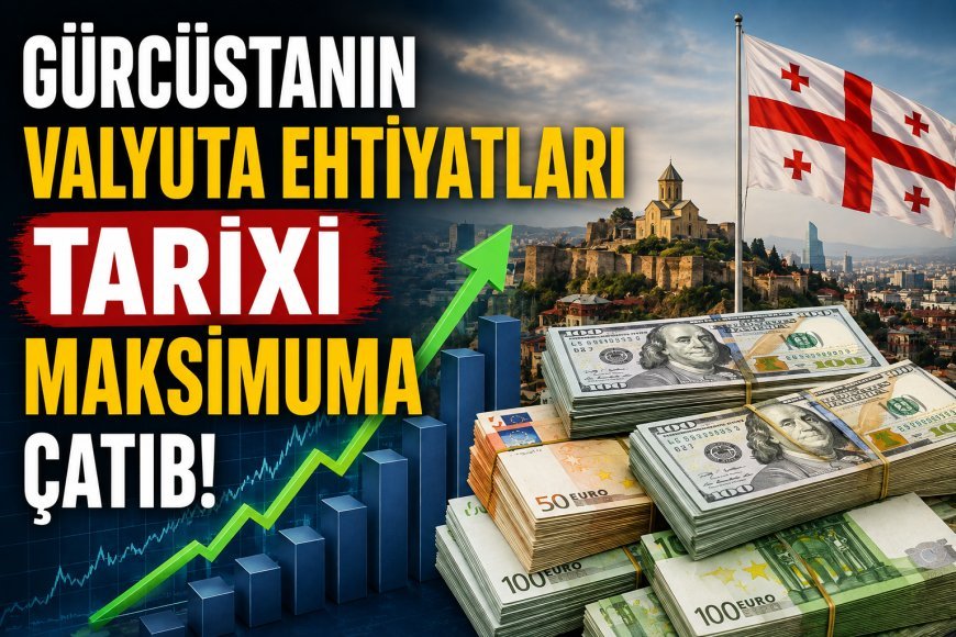 Gürcüstanın valyuta ehtiyatları tarixi maksimuma çatıb