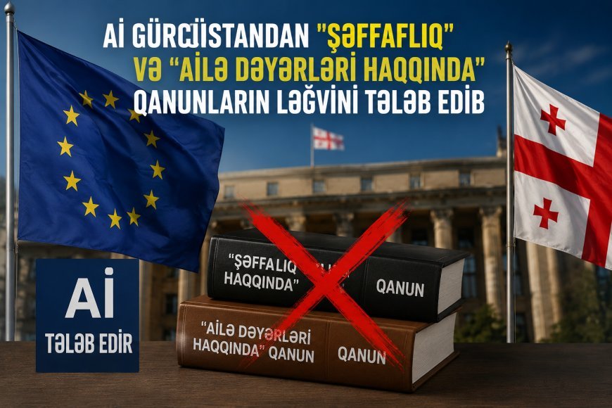 Aİ Gürcüstandan "Şəffaflıq" və "Ailə Dəyərləri haqqında" qanunların ləğvini tələb edib