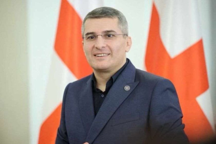 Mamuka Mdinaradze vəzifəsini və siyasəti tərk etdiyini açıqladı