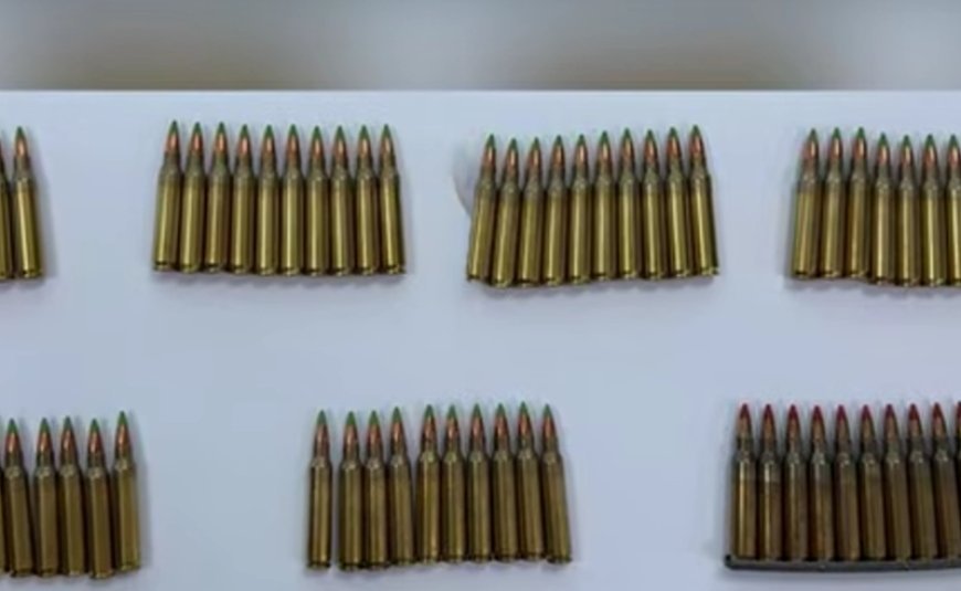 Gürcüstanın dörd regionunda xüsusi əməliyyat: Silah-sursatla 5 şəxs saxlanıldı