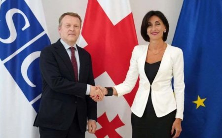 Maka Boçorişvili ATƏT-in komissarı ilə Gürcüstanın milli azlıqlarla bağlı siyasətini müzakirə edib