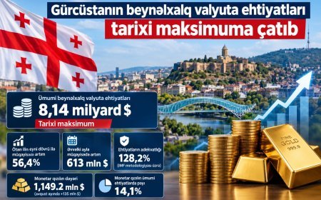Gürcüstanın beynəlxalq valyuta ehtiyatları tarixi maksimuma çatıb