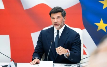 David Gareci ilə bağlı yayılanlar hakimiyyətə qarşı spekulyasiyadır