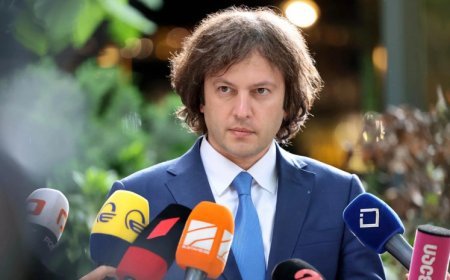 Kobaxidze istefa verməyə hazırlaşmadığını bildirib