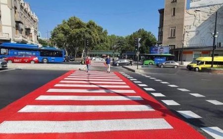 Gürcüstanda məktəb ətrafında hərəkət qaydaları sərtləşdirilir