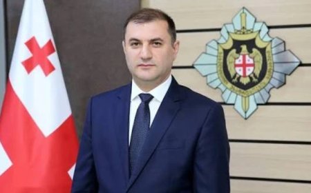 DTX rəisi vəzifəsinə Tamaz Boraşvilinin namizədliyini irəli sürdü