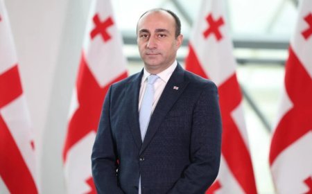 Baş nazir elan etdi: Gela Geladze daxili işlər nazirinin müavini olacaq