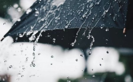 Gürcüstanda isti hava saxlanılacaq, lakin bəzi günlərdə yağış gözlənilir