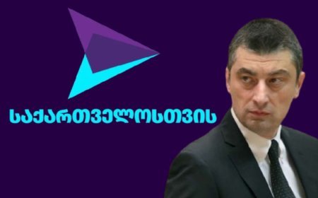 “Gürcü Arzusu” sabiq baş nazirin partiyasının ləğvini tələb edəcək