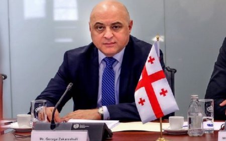 Gürcüstan Azərbaycana yeni səfir təyin edib