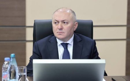 Gürcüstan DTX-nin sabiq rəhbərinə ağır cəza