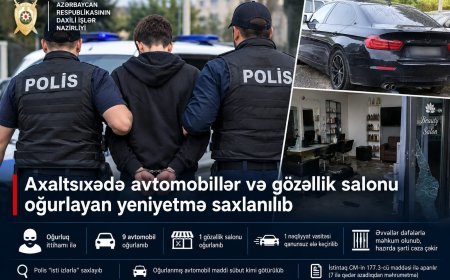 Axaltsikhədə   9 avtomobil və gözəllik salonunu talayan şəxs saxlanıldı