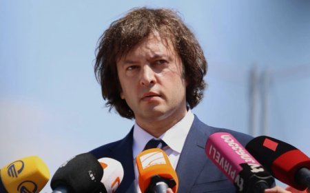 Gürcüstanın ərazi bütövlüyünü dinc yolla bərpa etmək milli arzumuzdur