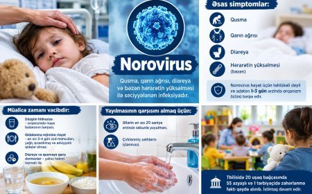 Bağçalardakı kütləvi zəhərlənməyə səbəb yüksək ehtimalla norovirusdur