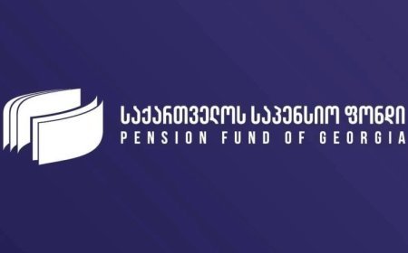 Gürcüstanda işəgötürənlər üçün yeni amnistiya